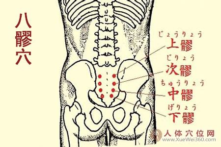 八廖穴位|八髎穴（上、次、中、下髎）详解